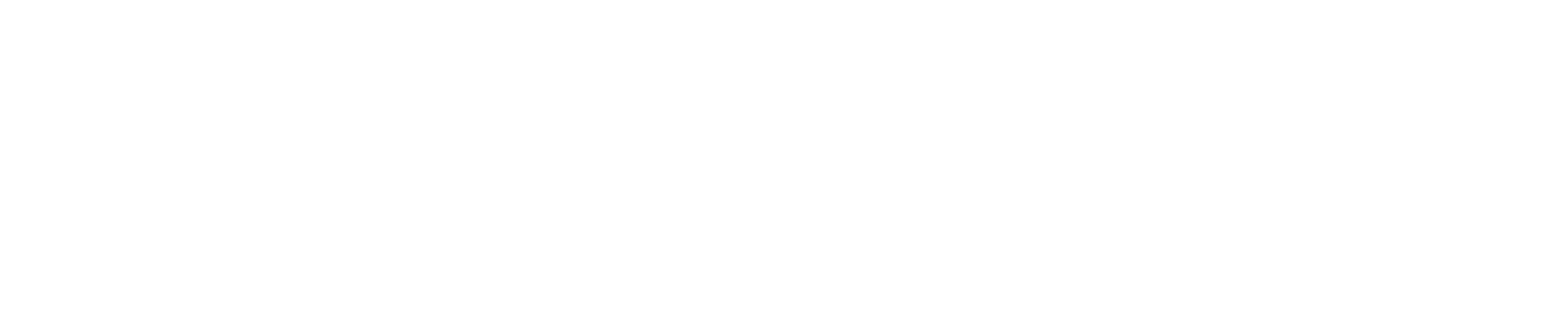 logo_fnb_white